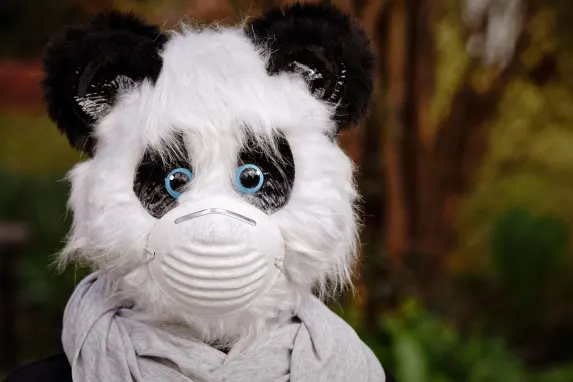 Vegadream Casino Podrška